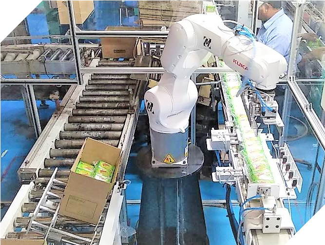 Robotic Case Packer installation 2