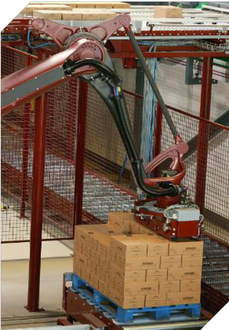 Robotic Palletizing installation 1