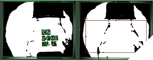 Vision System